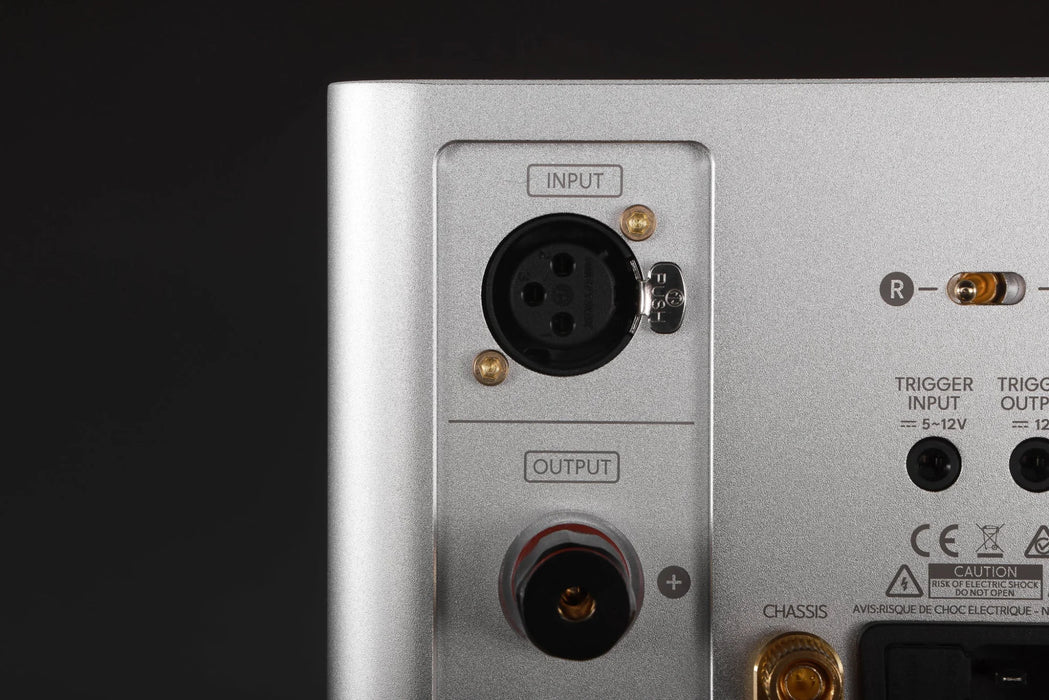 LAiV Harmony GaNM Monoblock Power Amplifier (Pair) - Power Amplifier