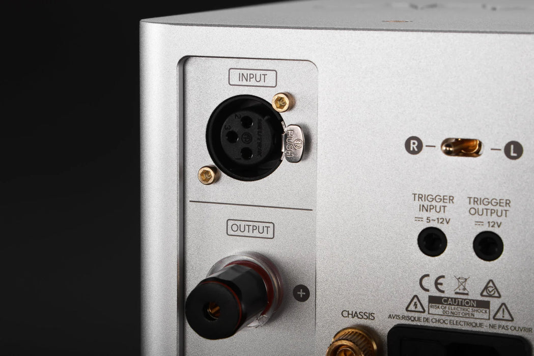 LAiV Harmony GaNM Monoblock Power Amplifier (Pair) - Power Amplifier