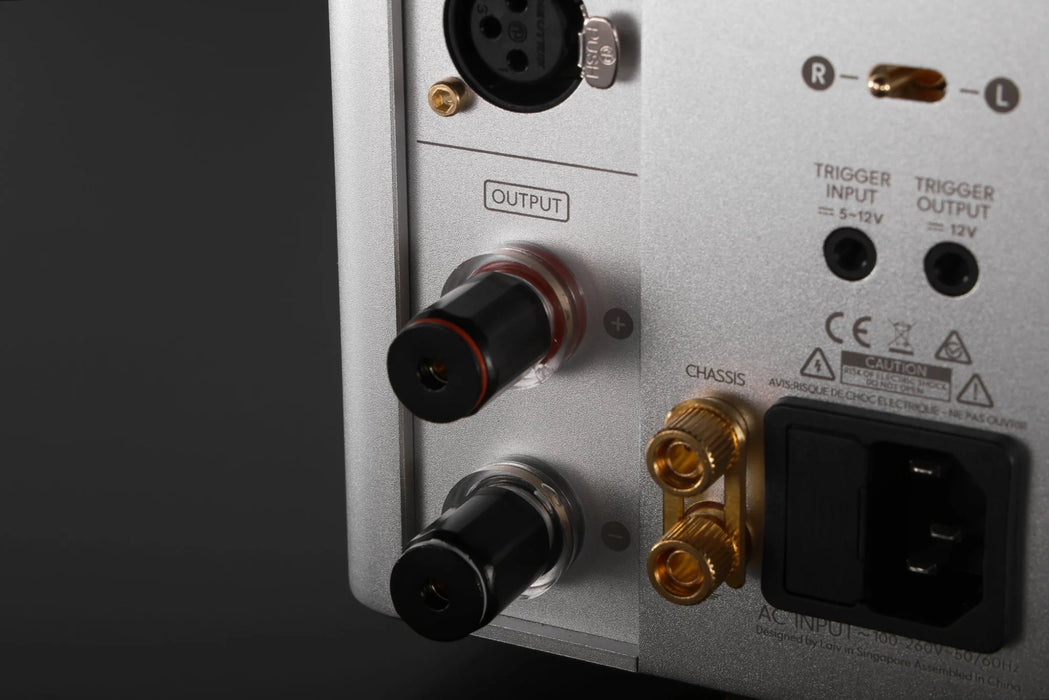 LAiV Harmony GaNM Monoblock Power Amplifier (Pair) - Power Amplifier