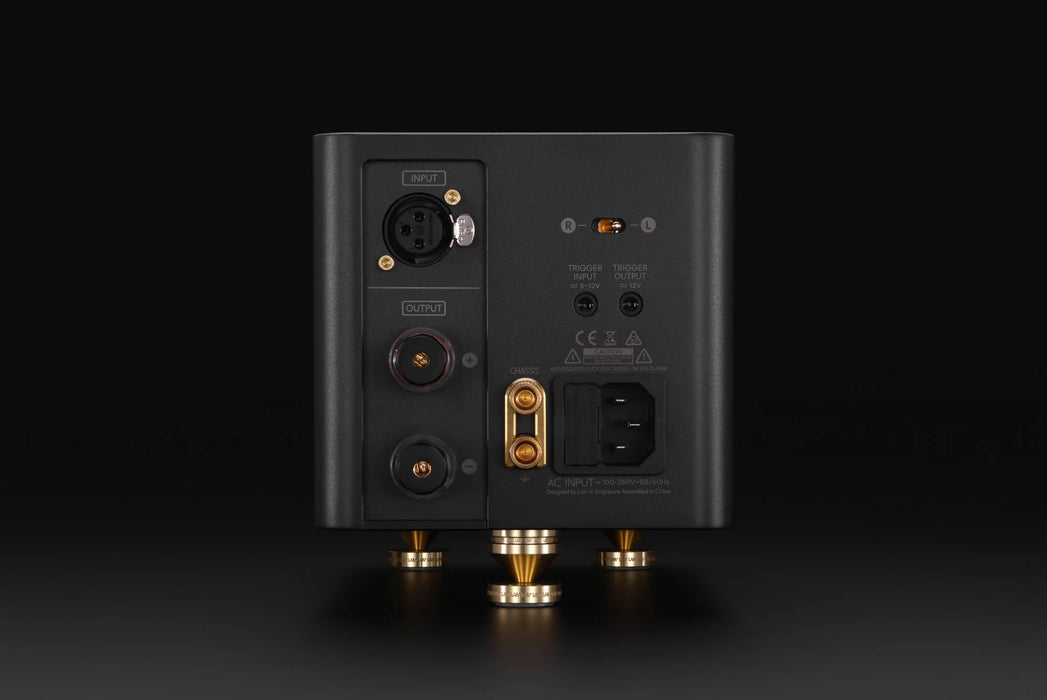 LAiV Harmony GaNM Monoblock Power Amplifier (Pair) - Power Amplifier