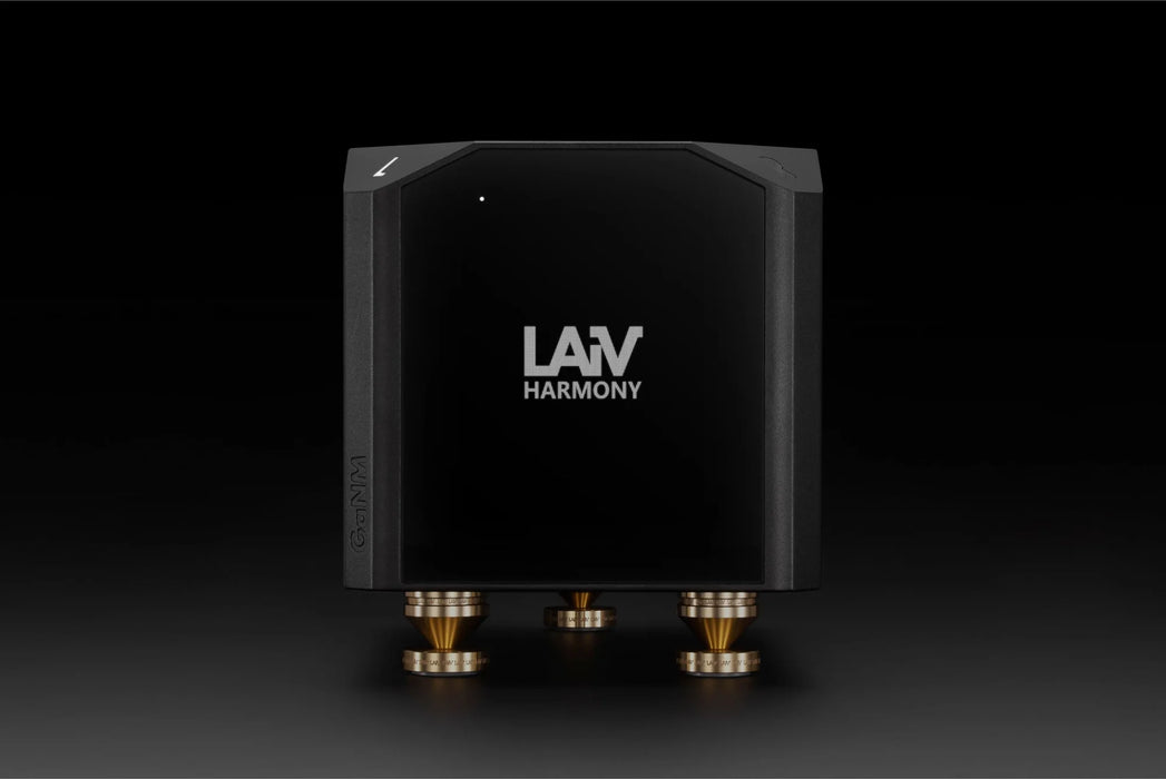 LAiV Harmony GaNM Monoblock Power Amplifier (Pair) - Power Amplifier