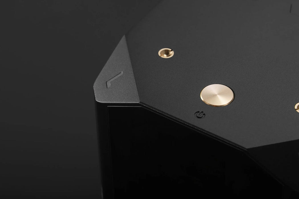 LAiV Harmony GaNM Monoblock Power Amplifier (Pair) - Power Amplifier