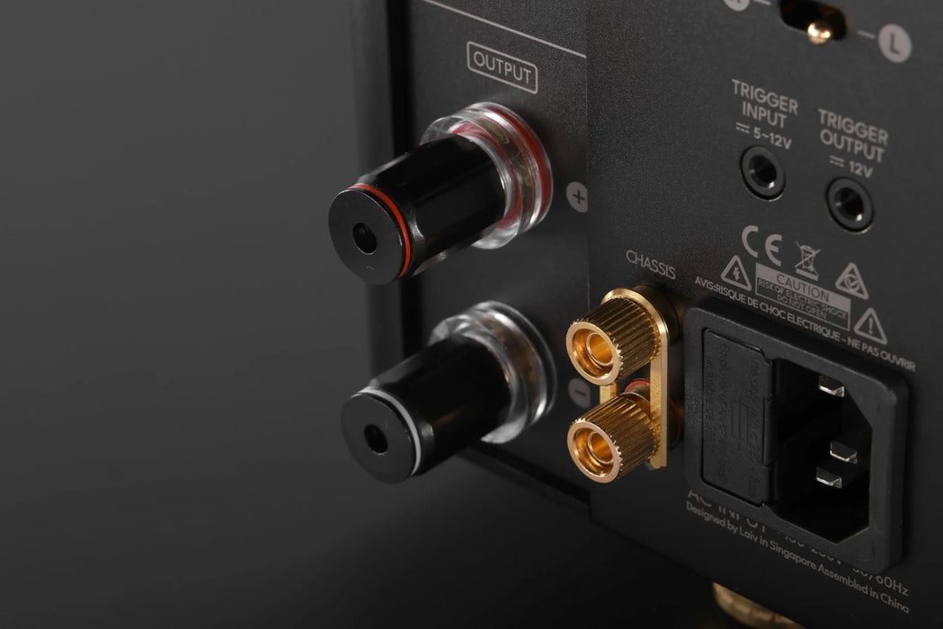 LAiV Harmony GaNM Monoblock Power Amplifier (Pair) - Power Amplifier