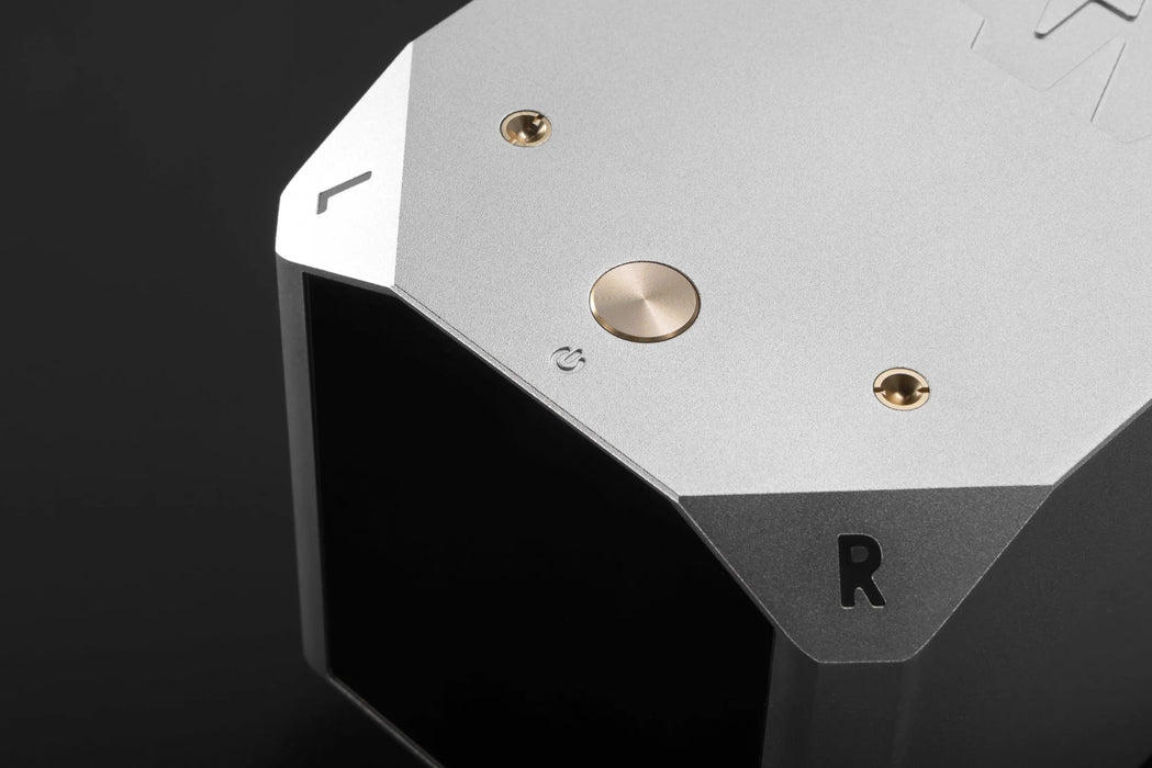 LAiV Harmony GaNM Monoblock Power Amplifier (Pair) - Power Amplifier