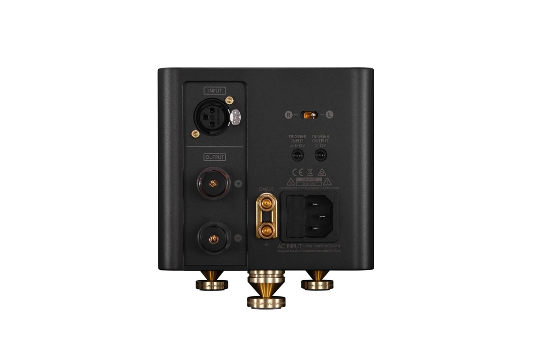 LAiV Harmony GaNM Monoblock Power Amplifier (Pair) - Power Amplifier