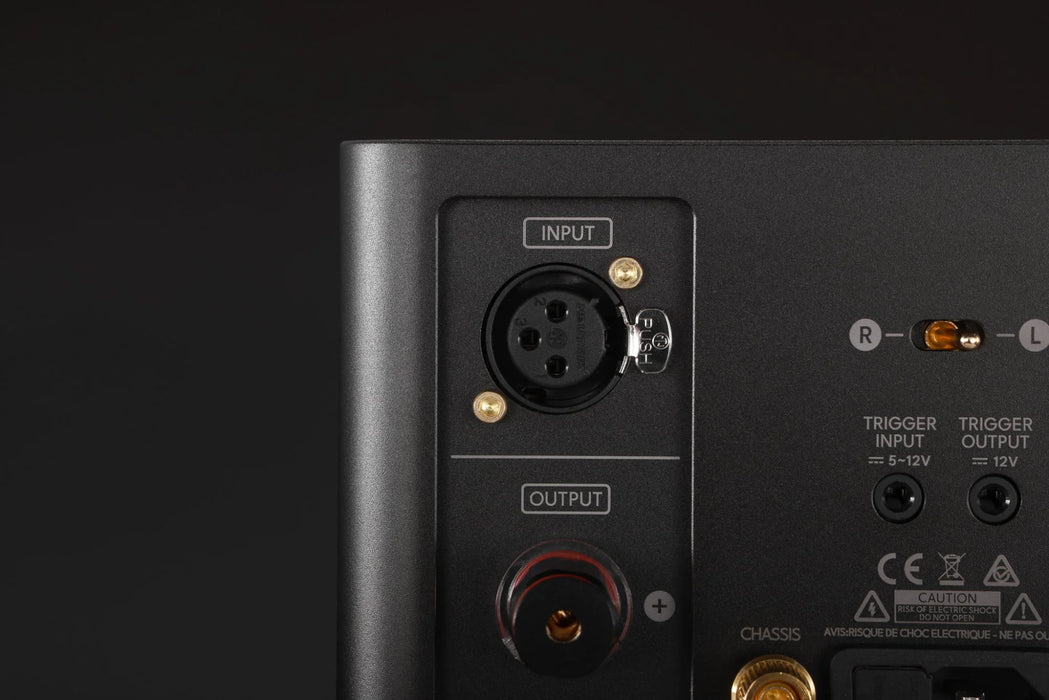 LAiV Harmony GaNM Monoblock Power Amplifier (Pair) - Power Amplifier