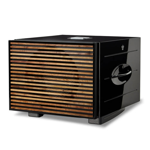 REL Acoustics Carbon Special Black Label 12inch Powered Subwoofer - Home Subwoofer