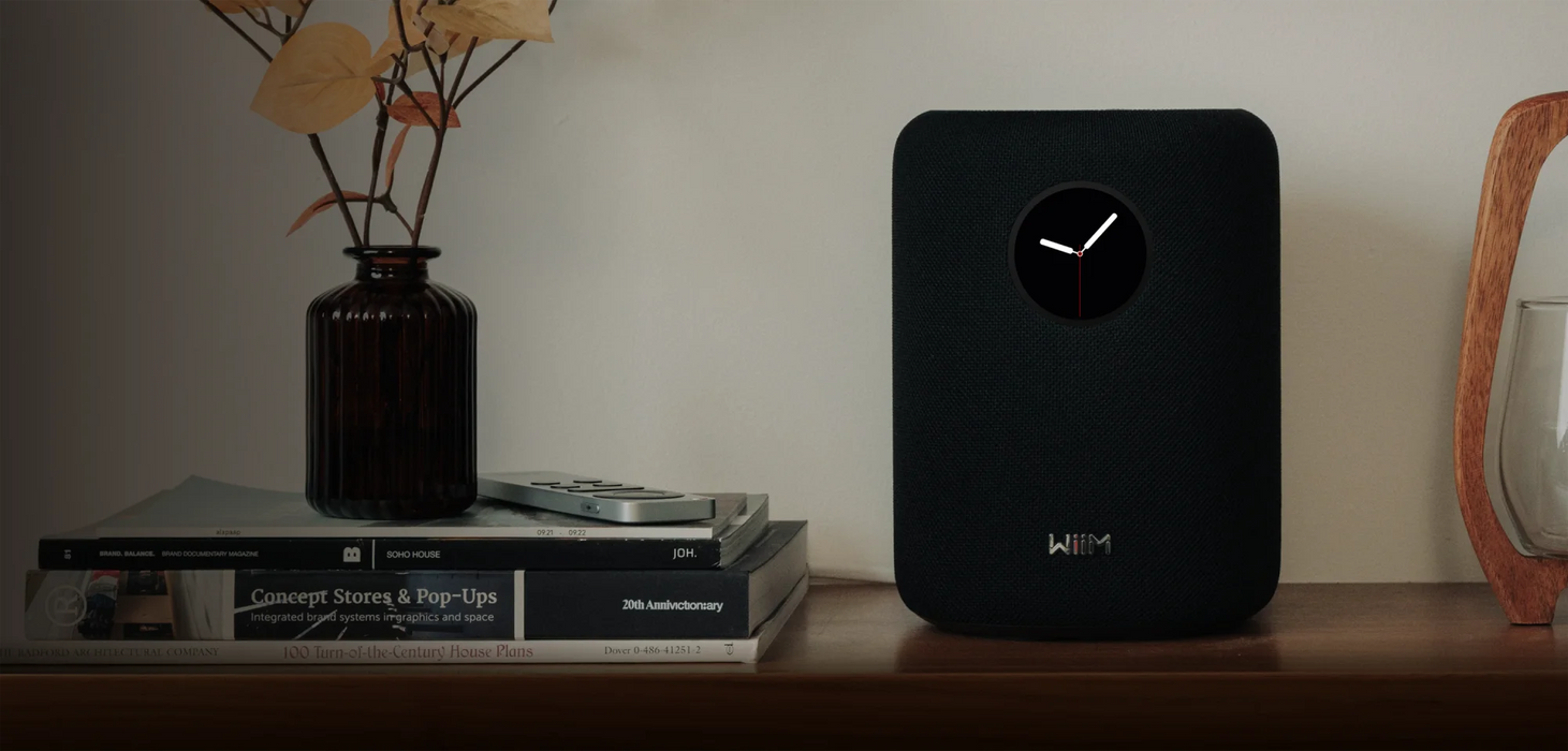 WiiM Sound Multiroom Wireless Speaker - Wireless Speaker
