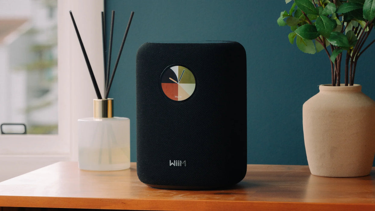 WiiM Sound Multiroom Wireless Speaker - Wireless Speaker