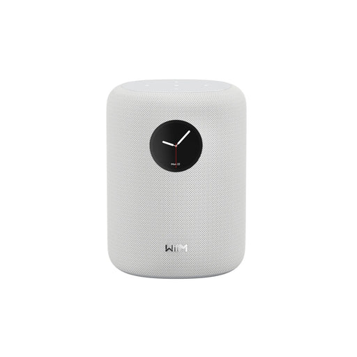 WiiM Sound Multiroom Wireless Speaker - Wireless Speaker