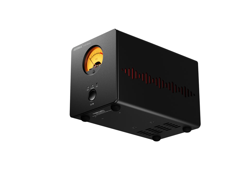 AIYIMA A20 Mono Balanced Power Amplifier