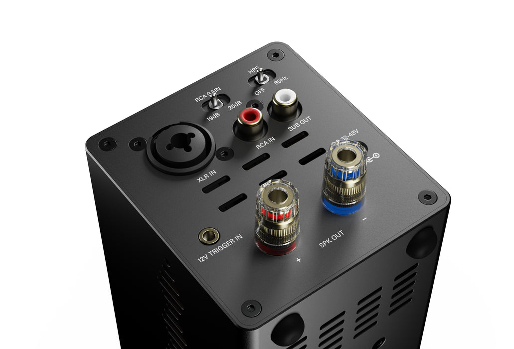 AIYIMA A20 Mono Balanced Power Amplifier