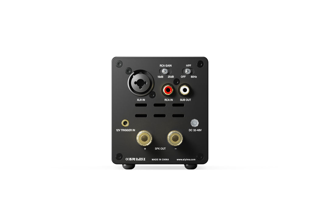AIYIMA A20 Mono Balanced Power Amplifier