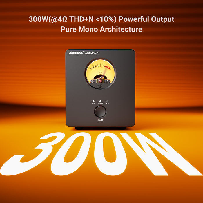 AIYIMA A20 Mono Balanced Power Amplifier