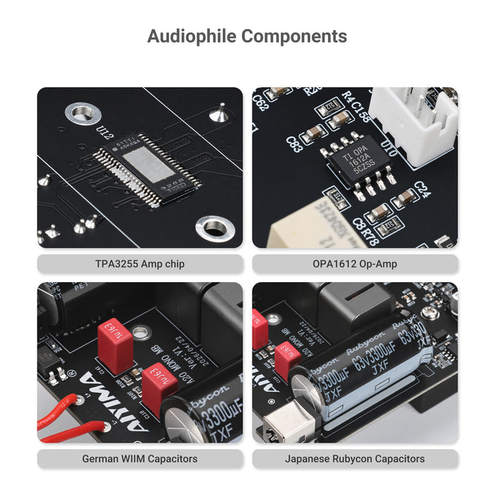 AIYIMA A20 Mono Balanced Power Amplifier