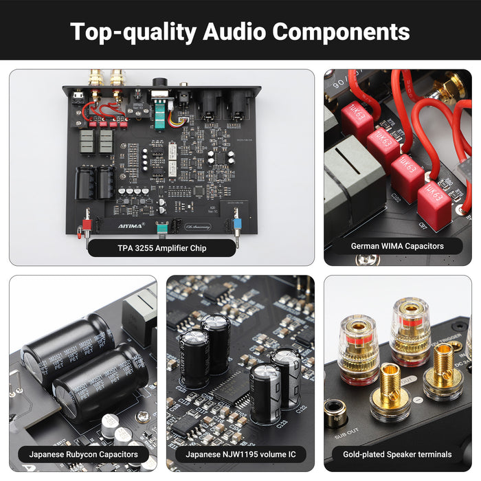 AIYIMA A20 Balanced Stereo Power Amplifier