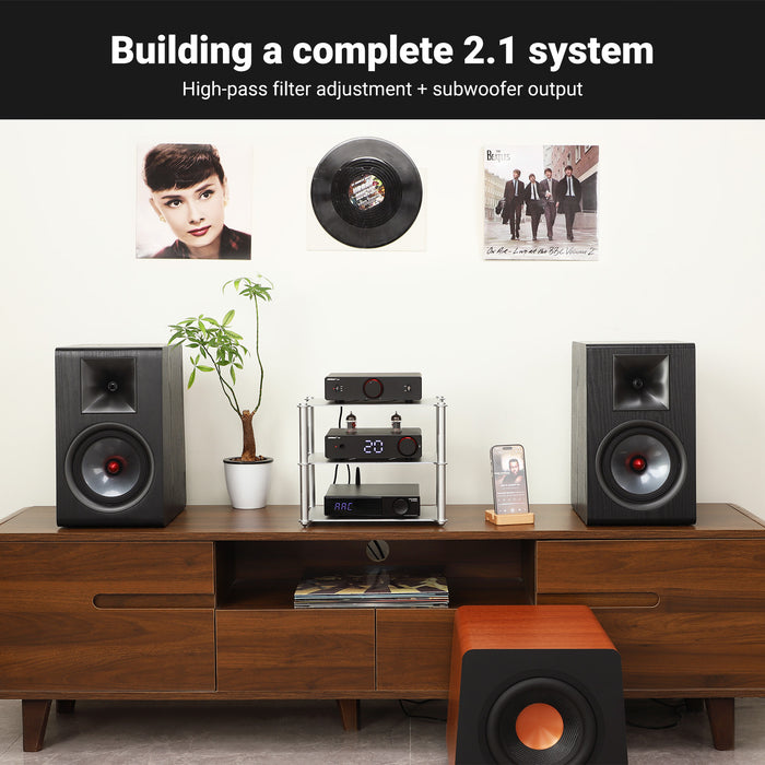 AIYIMA A20 Balanced Stereo Power Amplifier