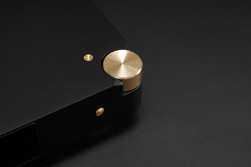 LAiV Harmony DAC 2 R2R Digital to Analog Convertor