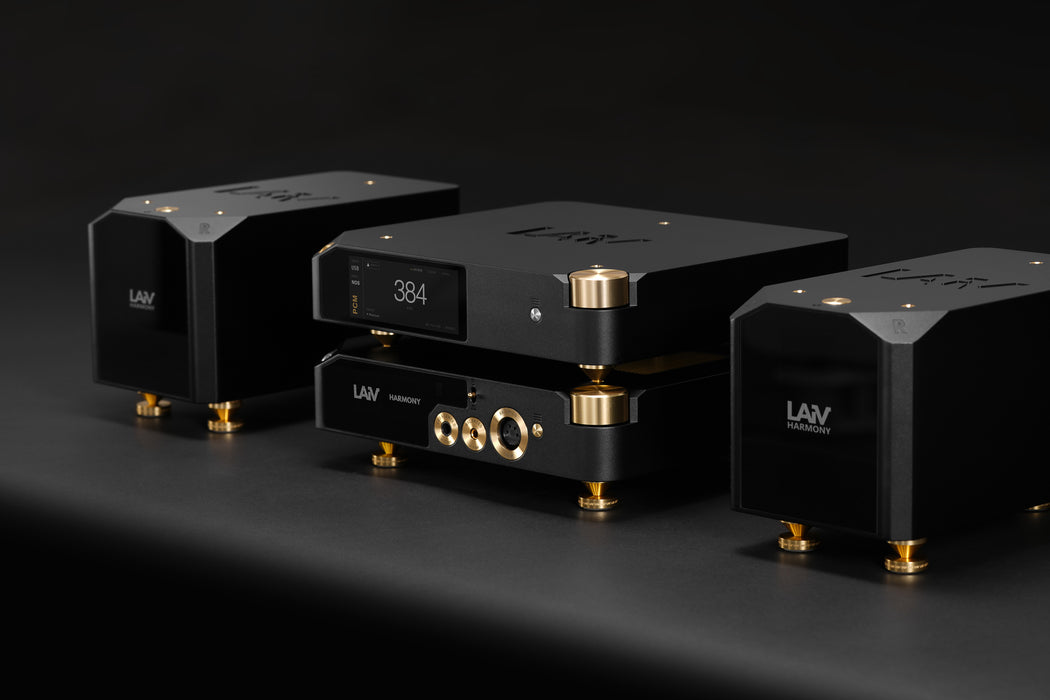 LAiV Harmony DAC 2 R2R Digital to Analog Convertor