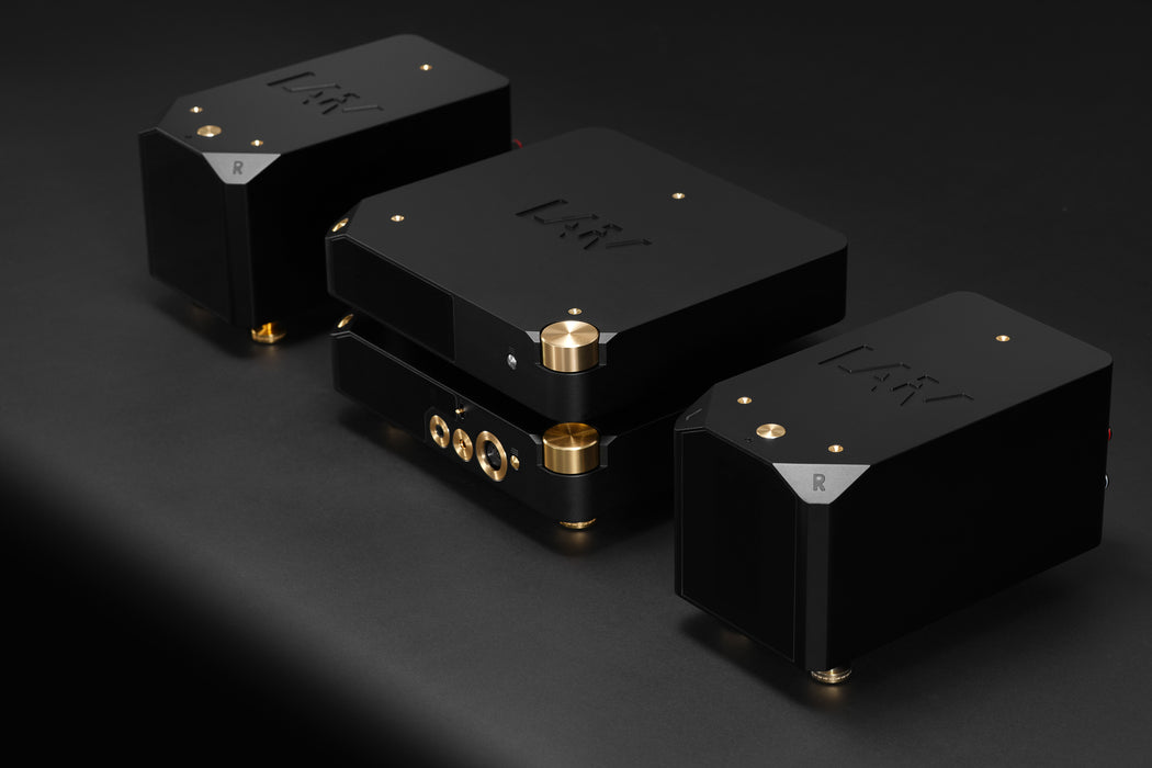 LAiV Harmony DAC 2 R2R Digital to Analog Convertor