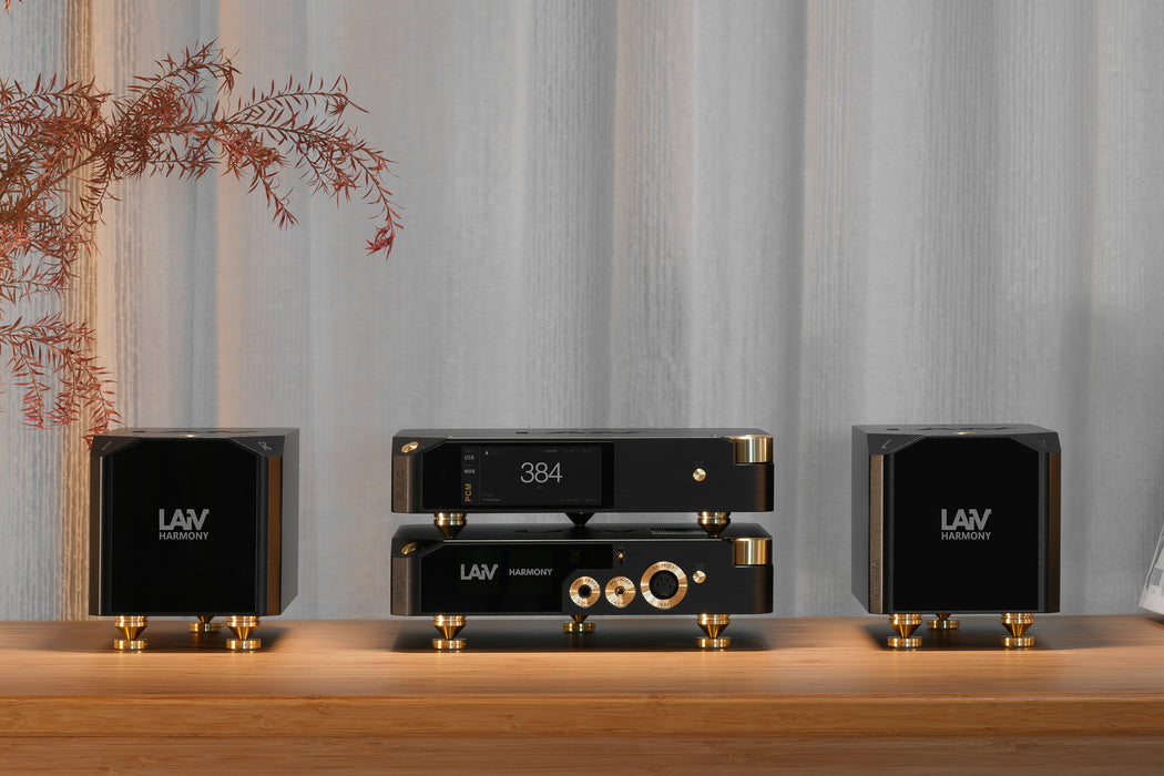 LAiV Harmony DAC 2 R2R Digital to Analog Convertor