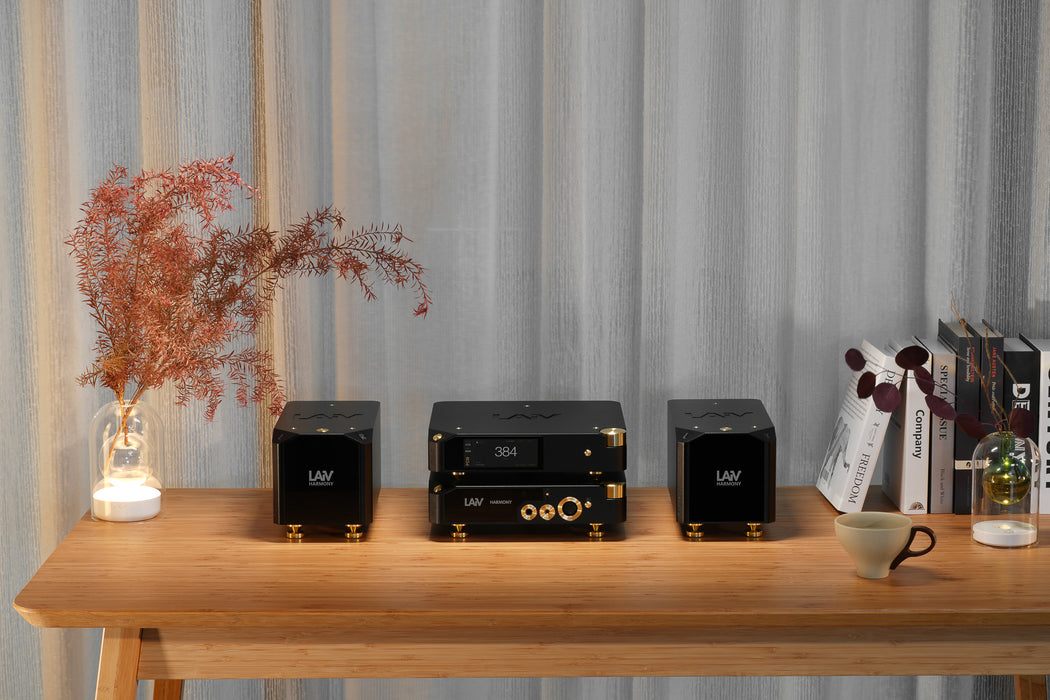 LAiV Harmony DAC 2 R2R Digital to Analog Convertor