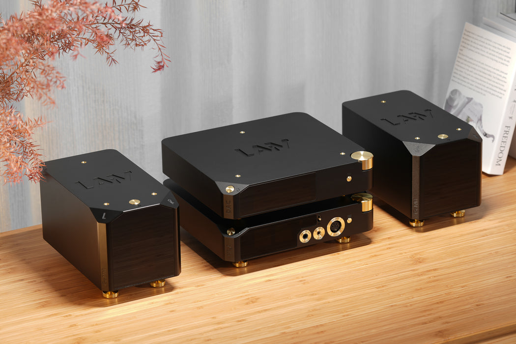 LAiV Harmony DAC 2 R2R Digital to Analog Convertor