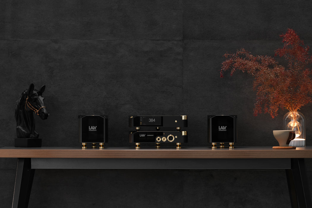 LAiV Harmony DAC 2 R2R Digital to Analog Convertor