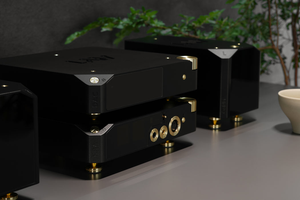 LAiV Harmony DAC 2 R2R Digital to Analog Convertor