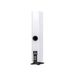 ELAC Carina FS2474 Floorstanding Speaker [Pair] | The Audio Co.