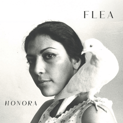 Flea - Honora | The Audio Co.