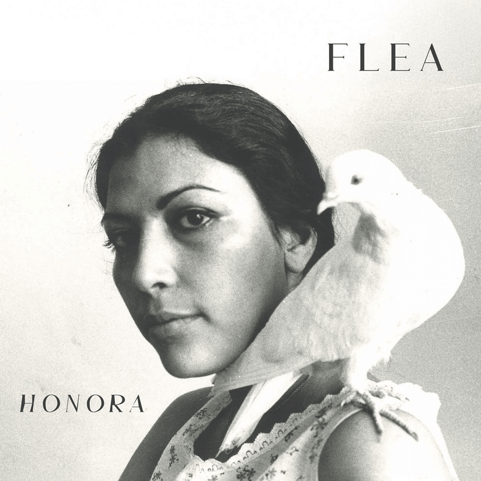 Flea - Honora | The Audio Co.