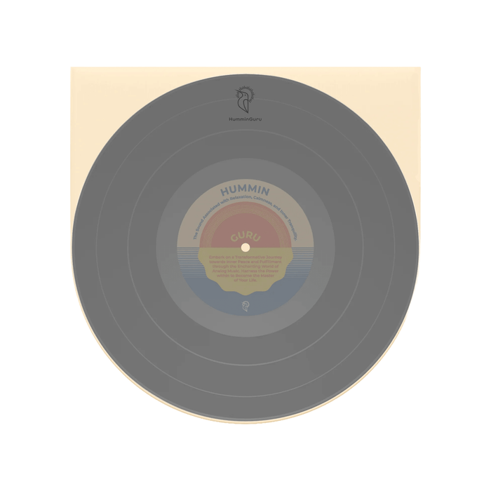 HumminGuru 10" Anti-Static Inner Record Sleeves (50 Pack) | The Audio Co.