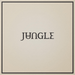Jungle - Loving In Stereo | The Audio Co.
