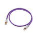 Melodika Purple Ethernet Network Cable | The Audio Co.