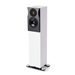 Neat Acoustics Momentum J6 Floorstanding Speaker [Pair] | The Audio Co.