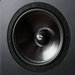 Neat Acoustics Momentum JS Bookshelf Speaker [Pair] | The Audio Co.
