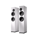 OePhi Ascendance 2.5 Floorstanding Speaker [Pair] | The Audio Co.