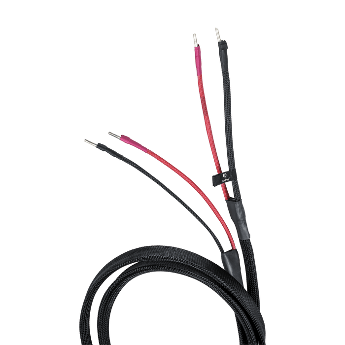 OePhi Ascendance Speaker Cable | The Audio Co.