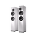 OePhi Transcendence 2.5 Floorstanding Speaker [Pair] | The Audio Co.