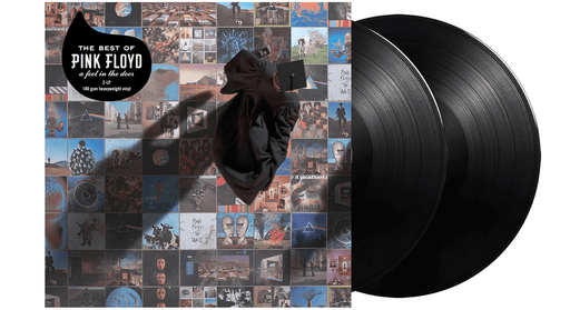 Pink Floyd - The Best Of Pink Floyd : A Foot In The Door | The Audio Co.