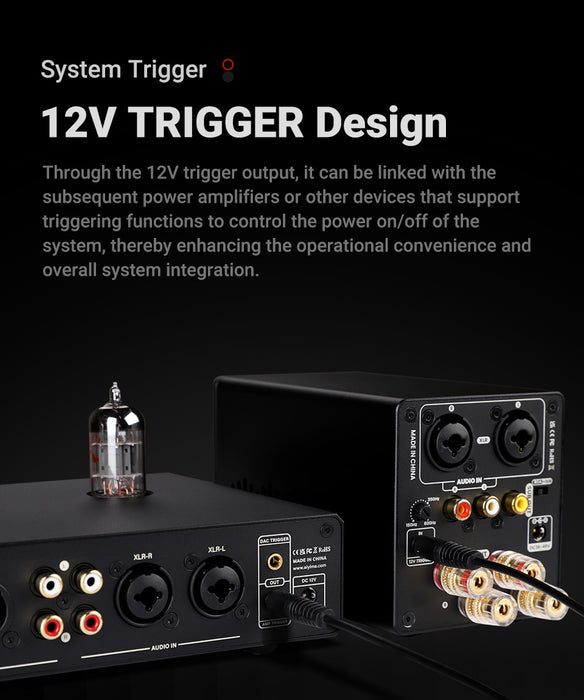 AIYIMA T20 Balanced Tube Preamplifier
