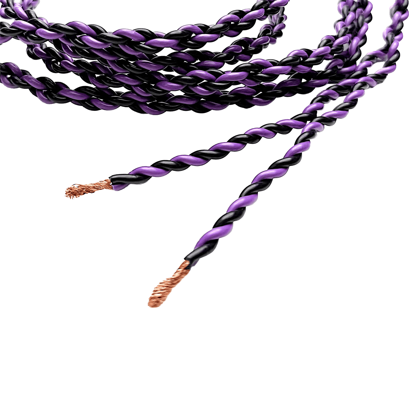 TiGLON | Authorised Dealer INDIA | The Audio Co