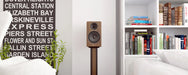 Acoustic Energy AE300 Bookshelf Speaker (Pair) - Home Speaker