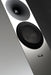 Amphion Argon7LS Floorstanding Speaker [Pair] - The Audio Co.