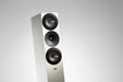 Amphion Argon7LS Floorstanding Speaker [Pair] - The Audio Co.