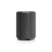 Audio Pro A10 MkII Multiroom Wireless Speaker - Wireless Speaker