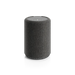 Audio Pro A10 MkII Multiroom Wireless Speaker - Dark Grey / Single - Wireless Speaker