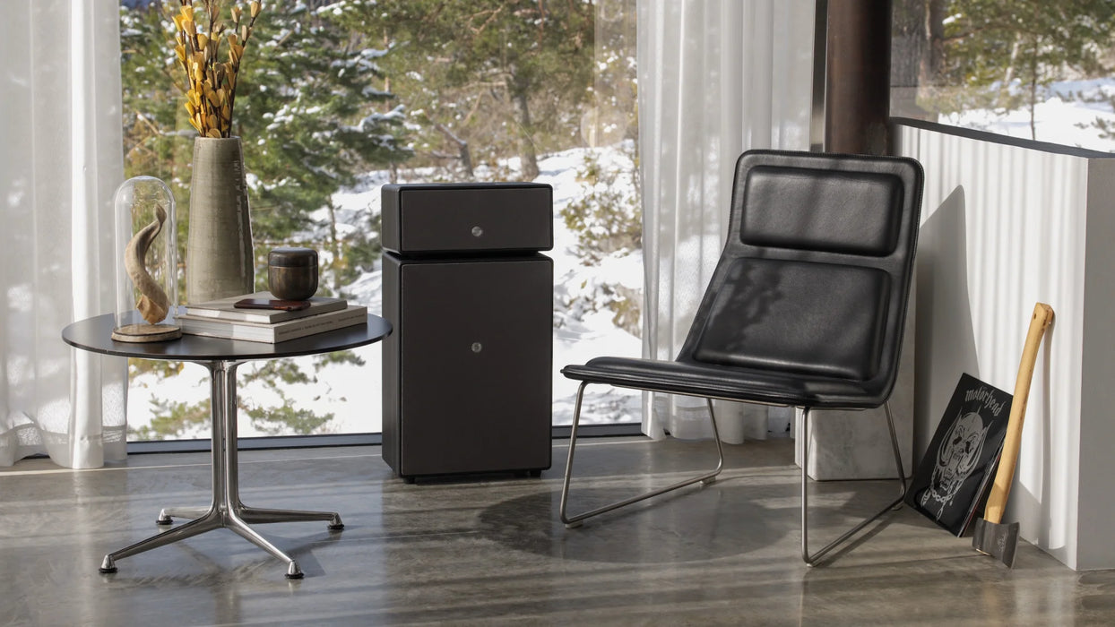 Audio Pro Drumfire II Multiroom Wireless Speaker - Wireless Speaker