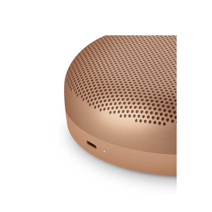 B&O Beosound A1 3rd Gen Portable Wireless Speaker - Wireless Portable Speaker